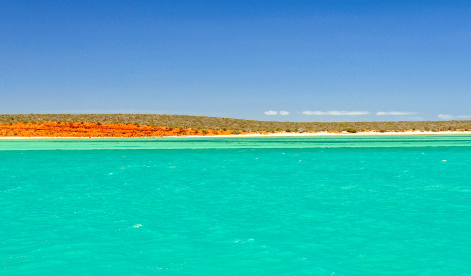 Monkey Mia, Shark Bay, WA