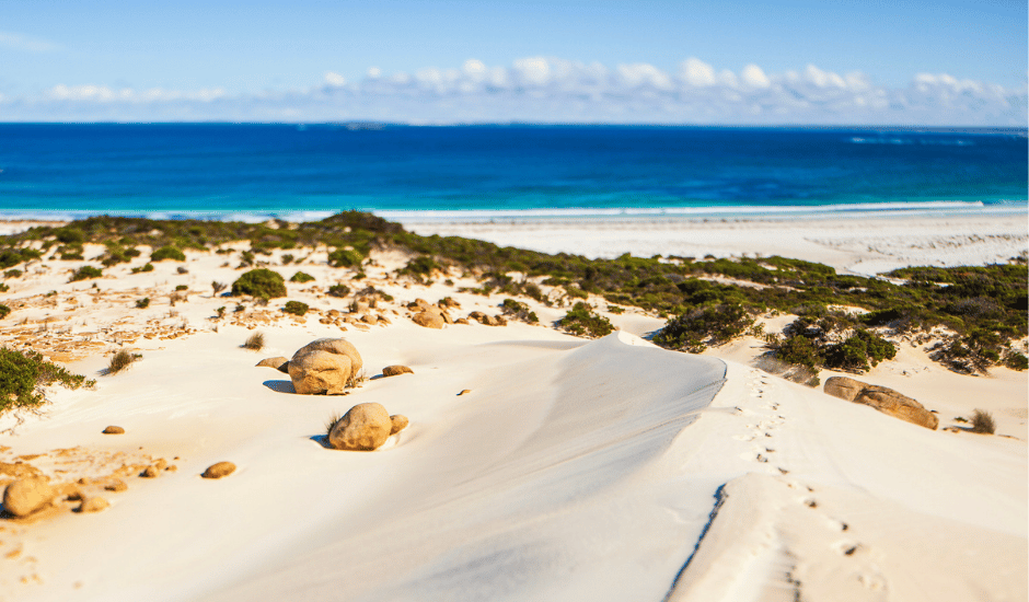 Wedge Island beach, WA