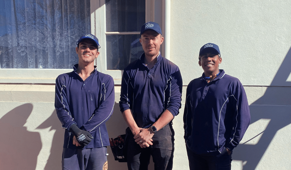 Plico solar installers 
