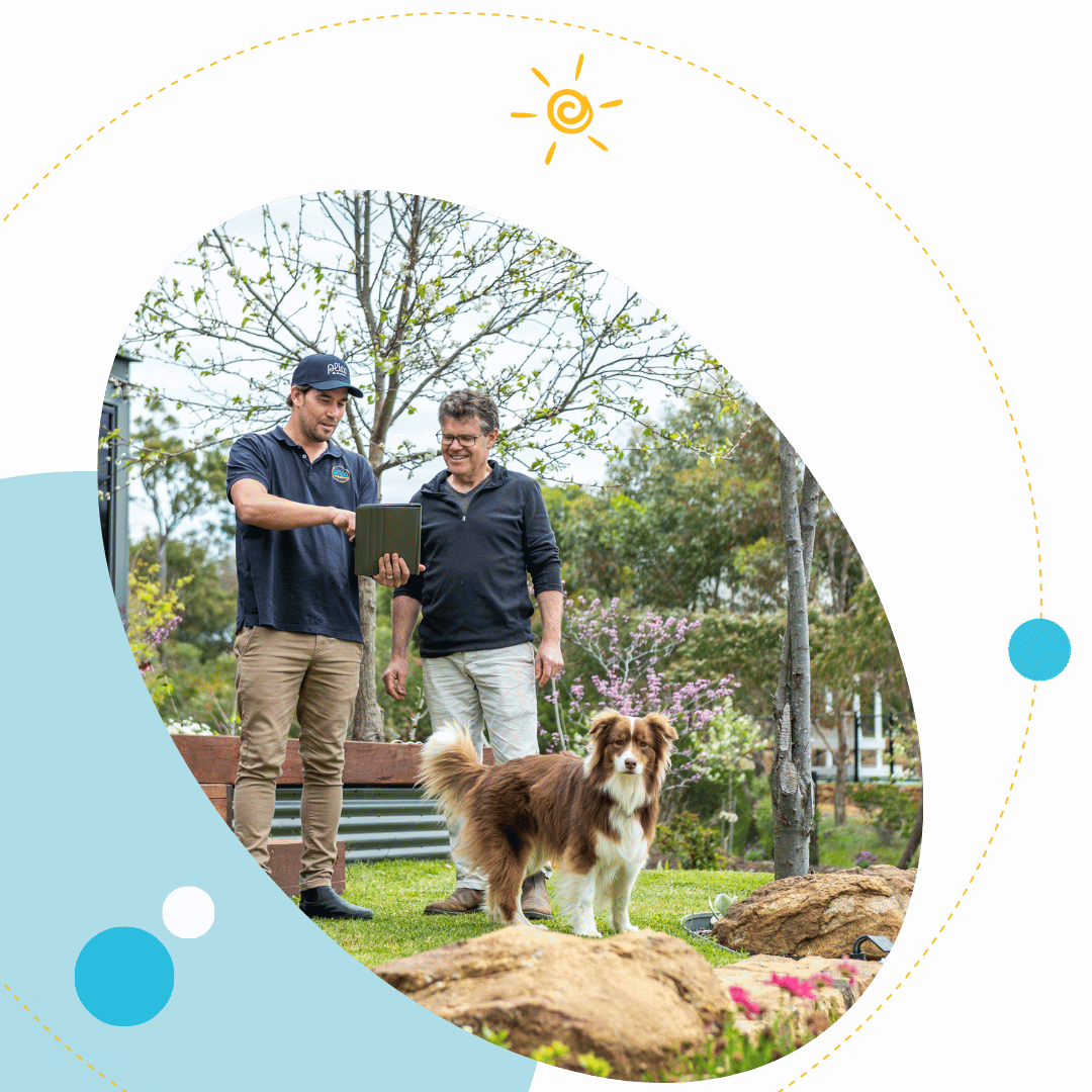 Plico Member garden with dog