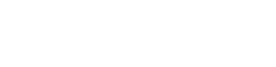 NECA-Logo_white-1