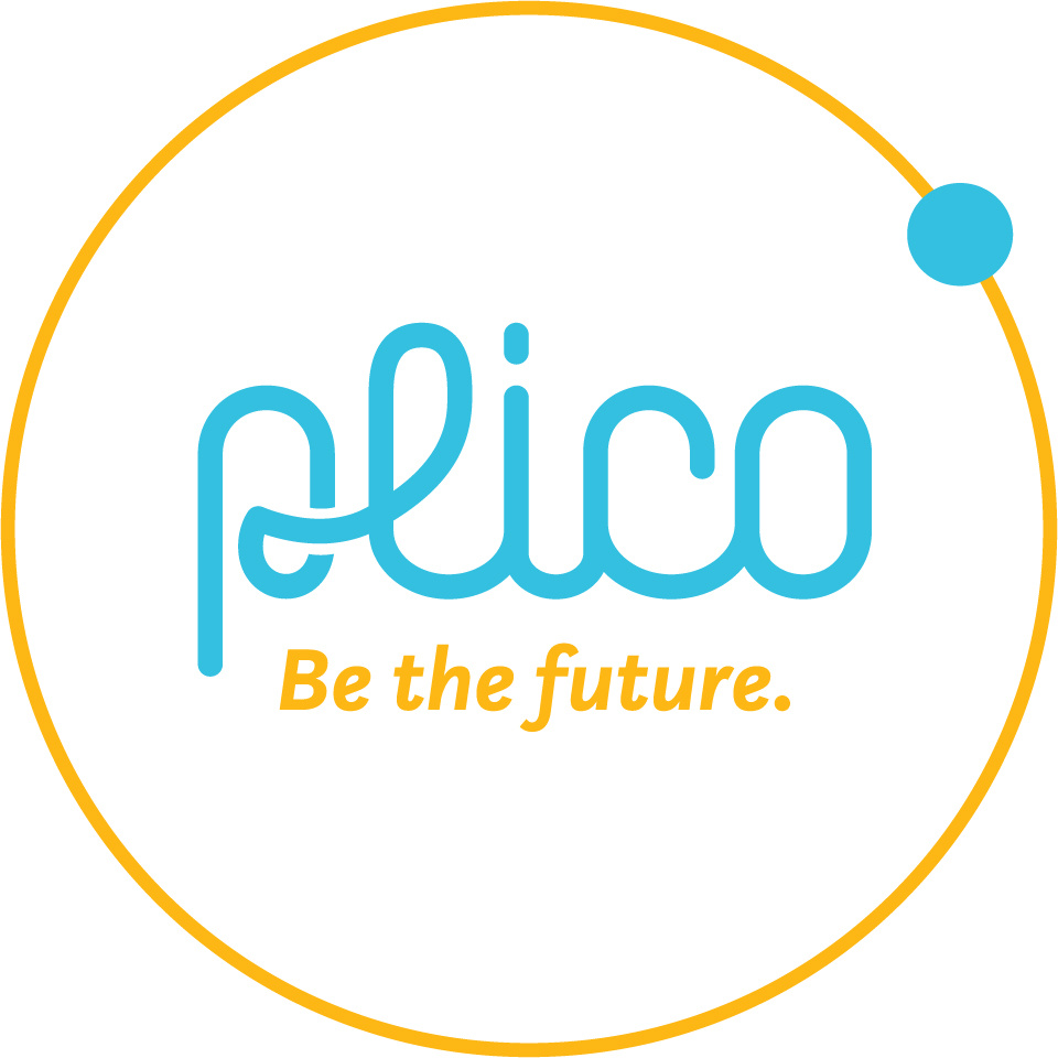 Picture of Plico Team