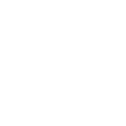 icon-world_white